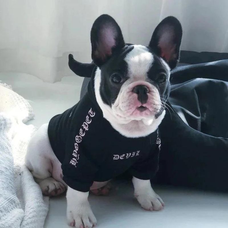 frenchie space shop badside french bulldog hoodie