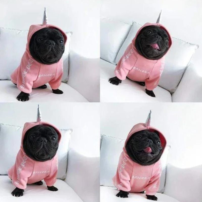 frenchie space shop badside french bulldog hoodie