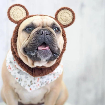 bear french bulldog hat