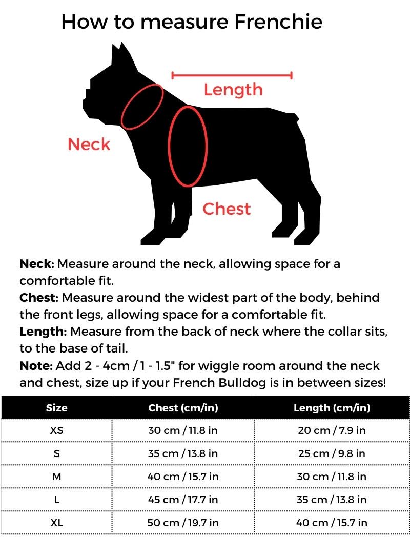 Bee French Bulldog Costume size guide