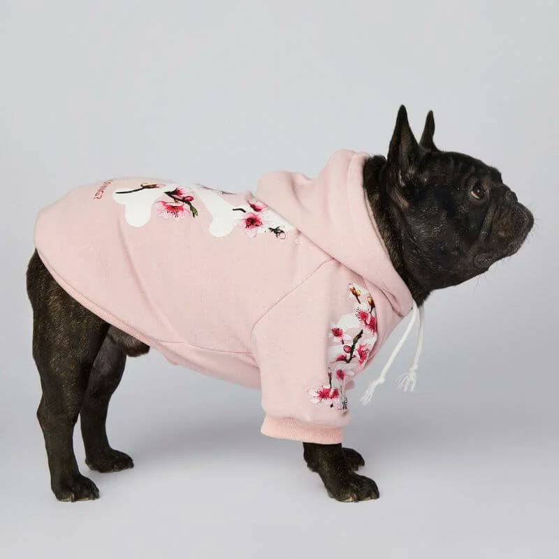 frenchie space shop bloom french bulldog hoodie
