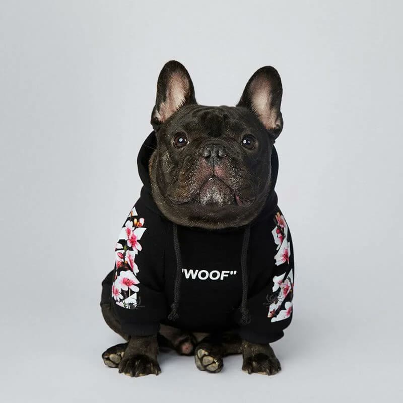 frenchie space shop bloom french bulldog hoodie