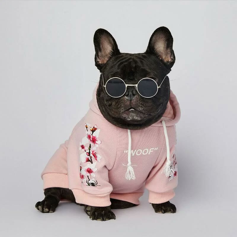 frenchie space shop bloom french bulldog hoodie