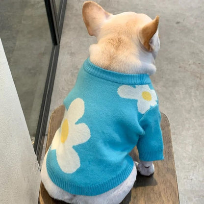 frenchie space shop blue spring frenchie sweater