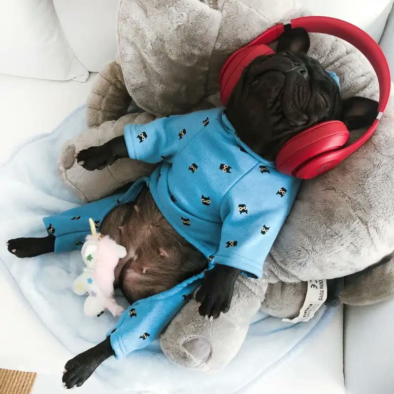 frenchie space shop bluedream french bulldog pajamas