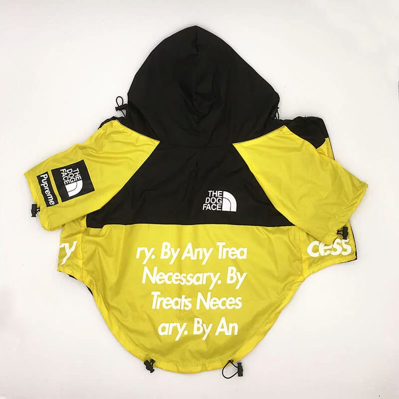 frenchie space shop bright windbreaker frenchie jacket