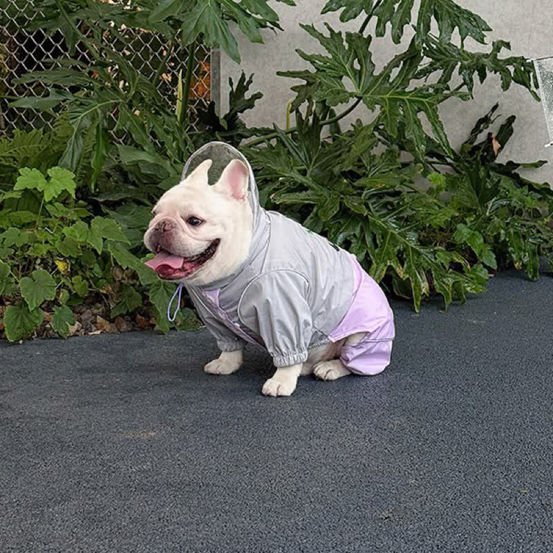 Bubble Hood Frenchie Rain Suit