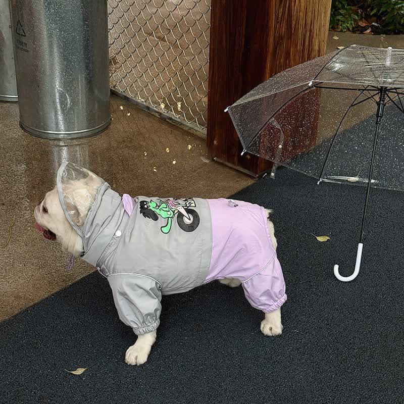 Bubble Hood Frenchie Rain Suit
