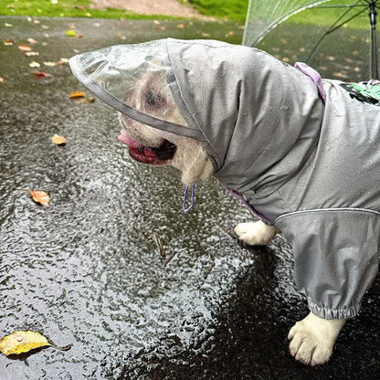 Bubble Hood Frenchie Rain Suit