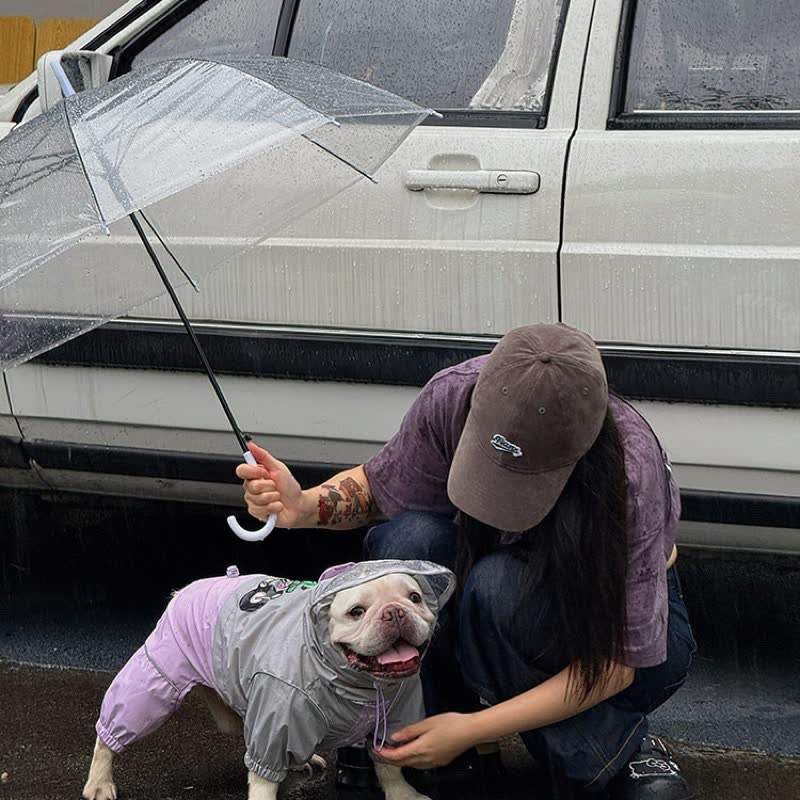Bubble Hood Frenchie Rain Suit