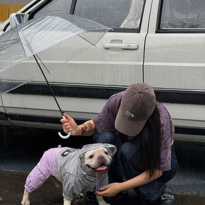 Bubble Hood Frenchie Rain Suit