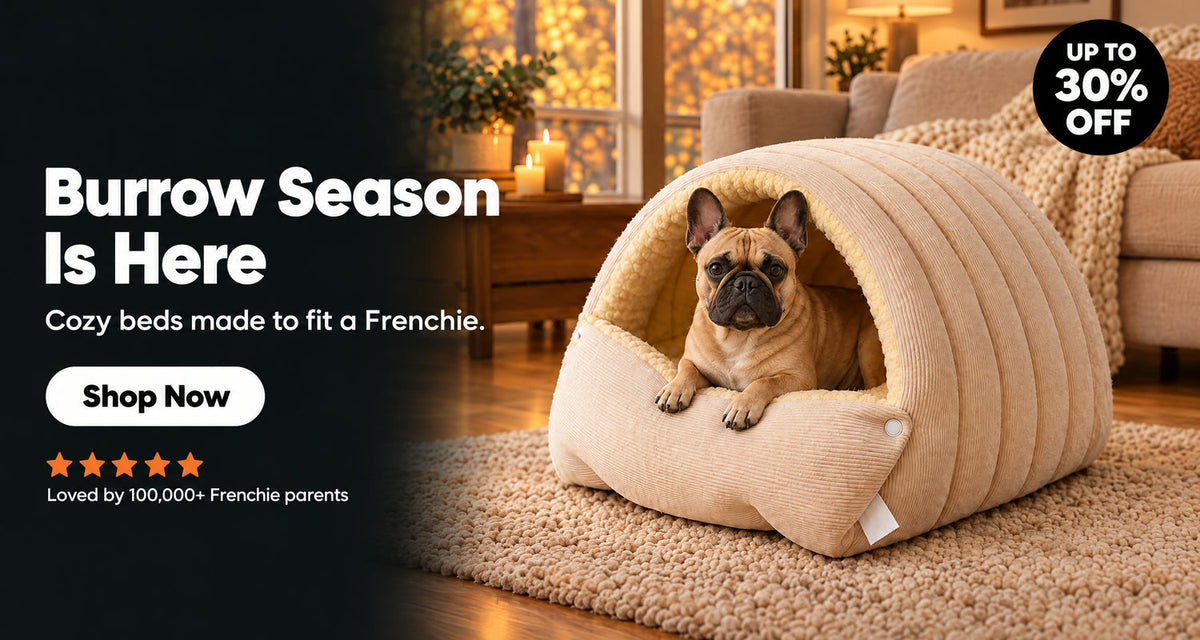 frenchie-space-burrow-season-banner-shopify-desktop-1500x800