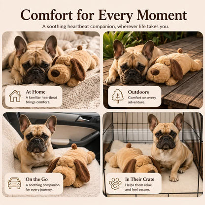 French bulldog relaxing with the Calming Frenchie Heartbeat Toy at home, outdoors, in the car and in the crate