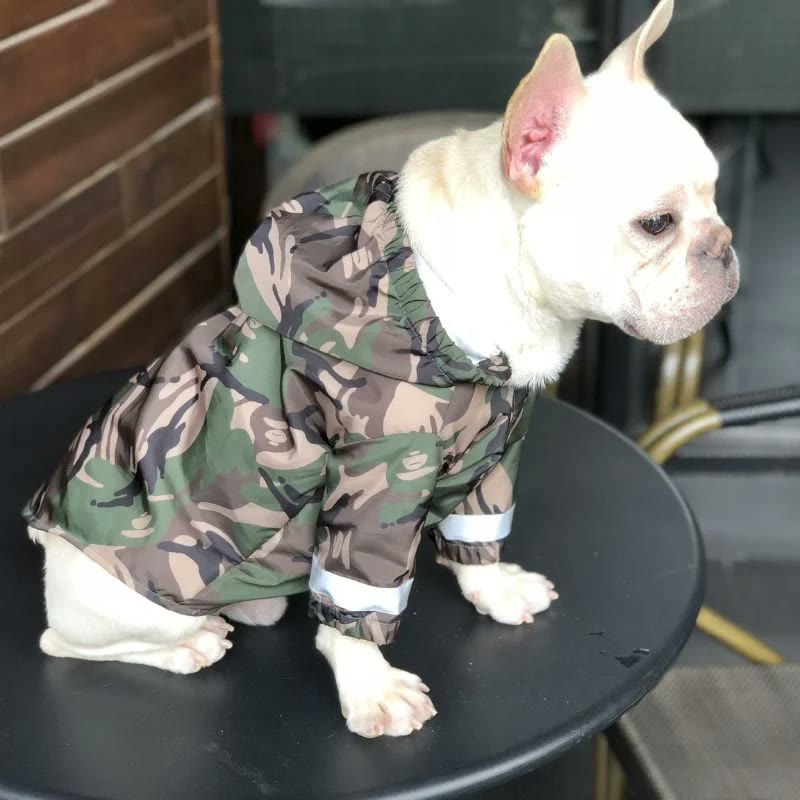 frenchie space shop camo french bulldog windbreaker jacket