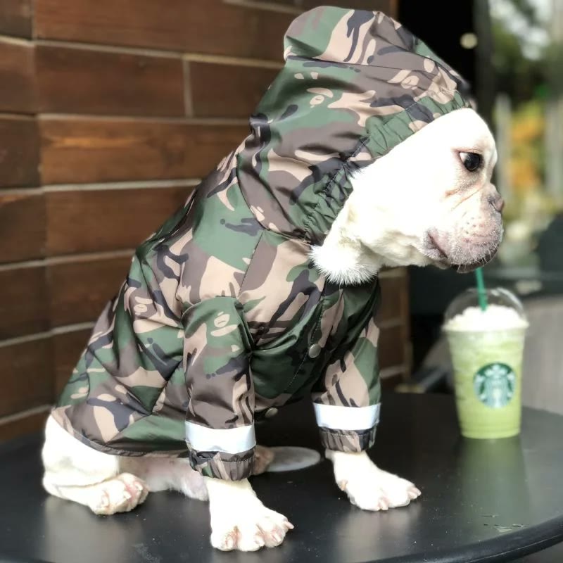 frenchie space shop camo french bulldog windbreaker jacket