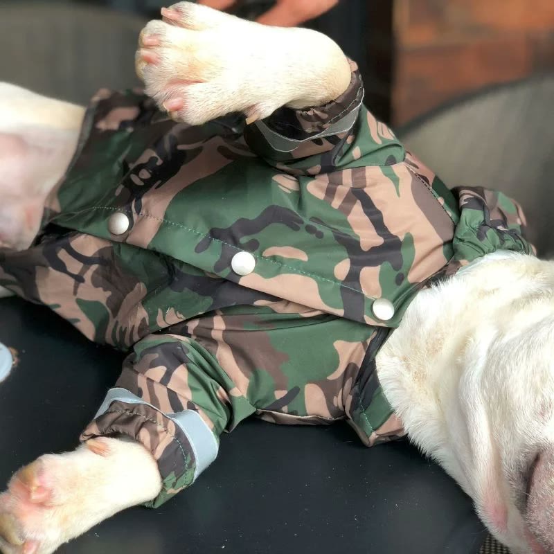 frenchie space shop camo french bulldog windbreaker jacket