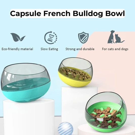 capsule french bulldog bowl