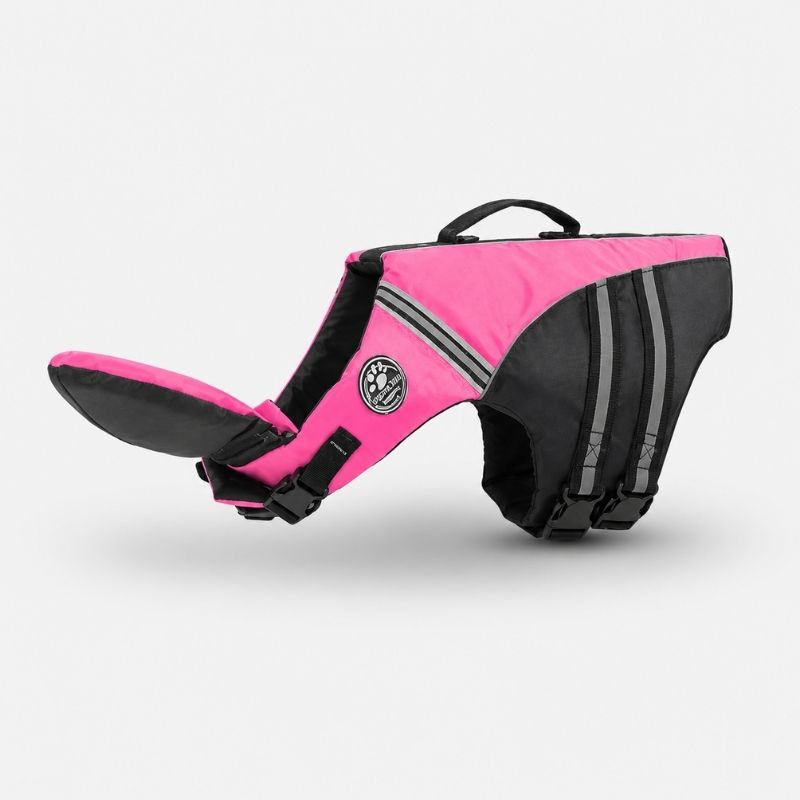 chinfloat frenchie life vest