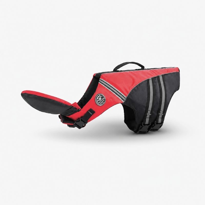 chinfloat frenchie life vest