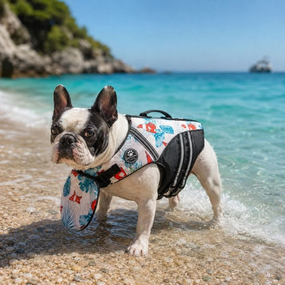 chinfloat frenchie life vest limited edition