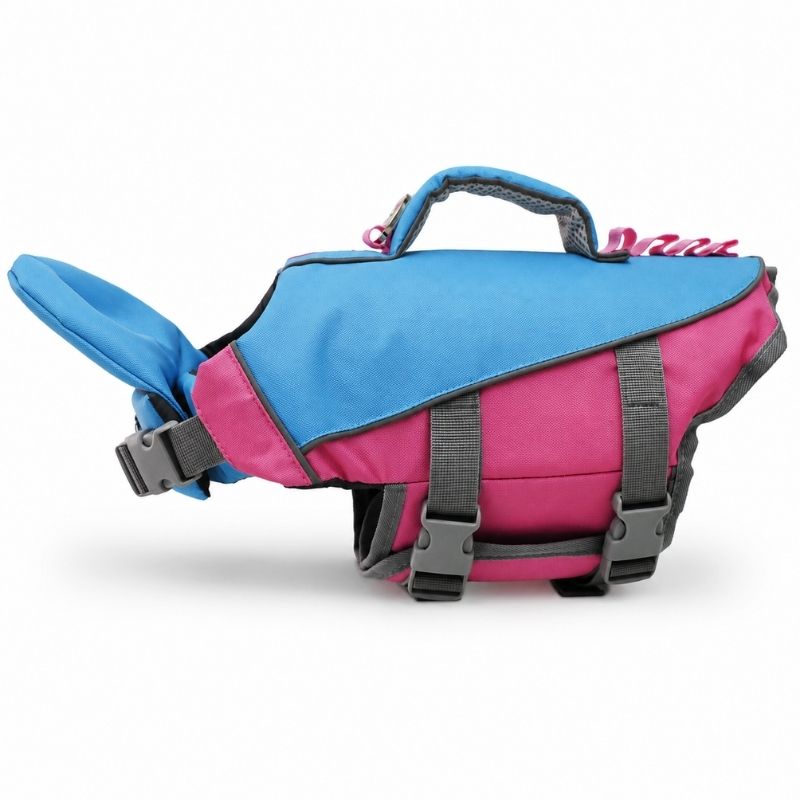 chinup frenchie life jacket