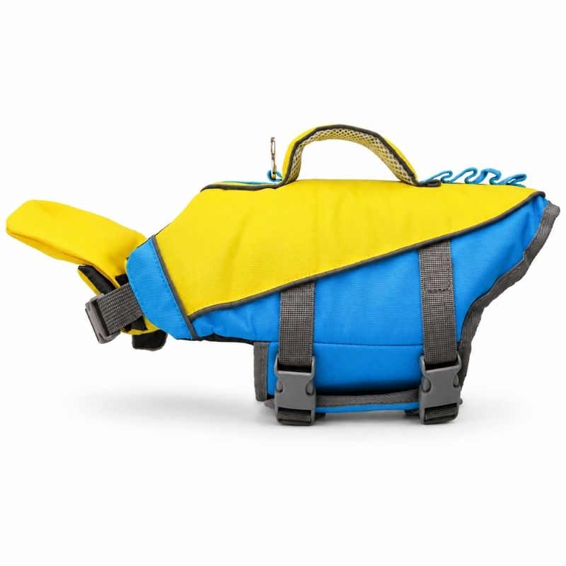 chinup frenchie life jacket