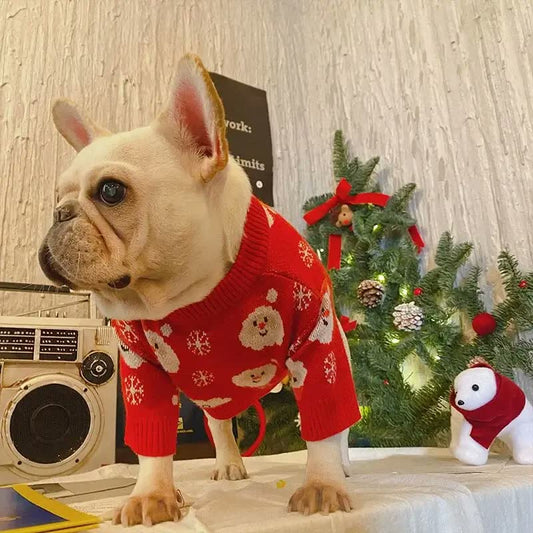 frenchie space shop christmas santa french bulldog sweater