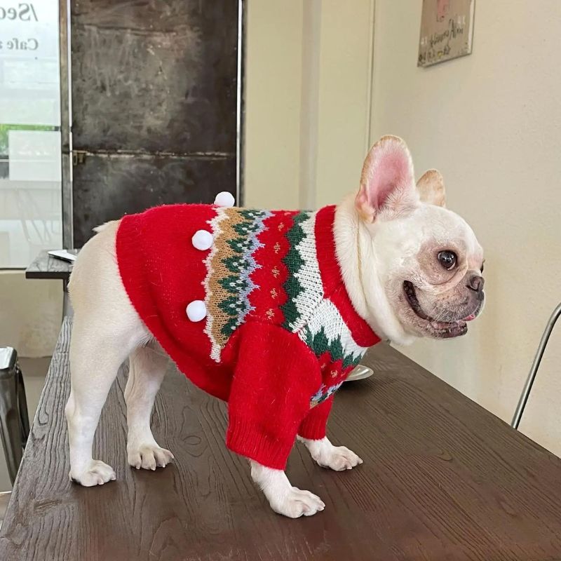 frenchie space shop christmasred french bulldog sweater