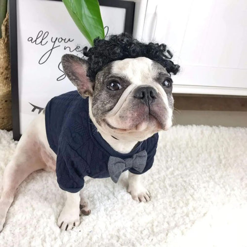 frenchie space shop classvibes french bulldog sweater