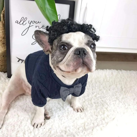 frenchie space shop classvibes french bulldog sweater