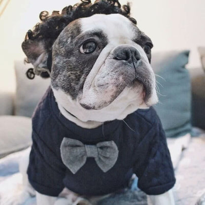 frenchie space shop classvibes french bulldog sweater