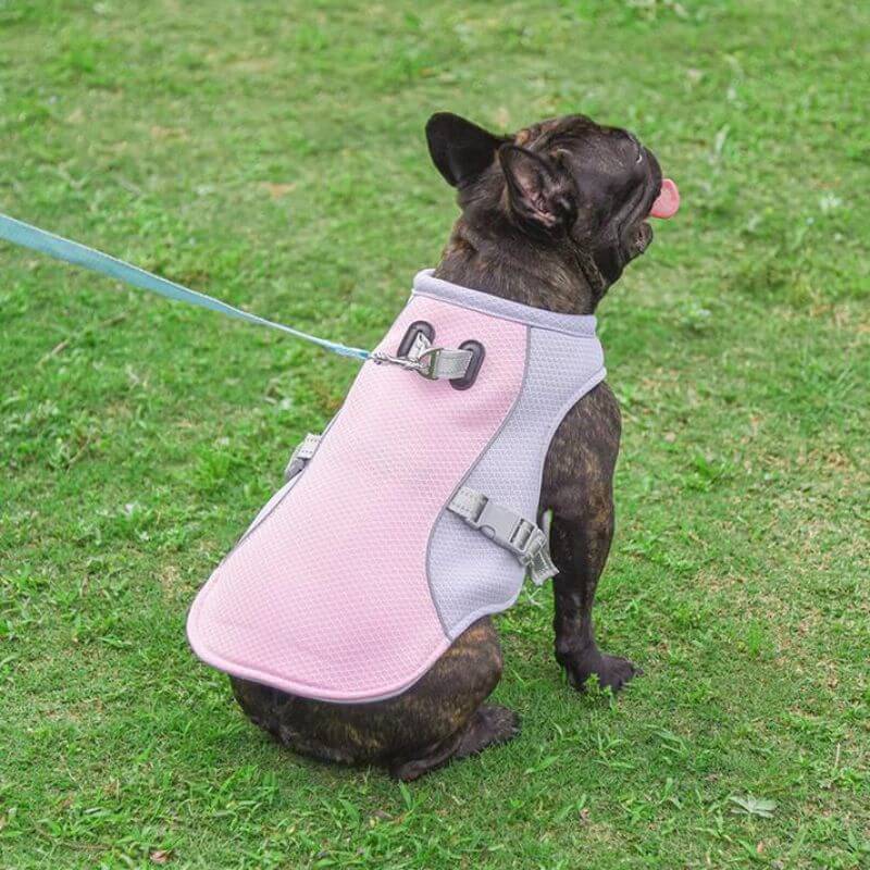 frenchie space shop cooling french bulldog vest