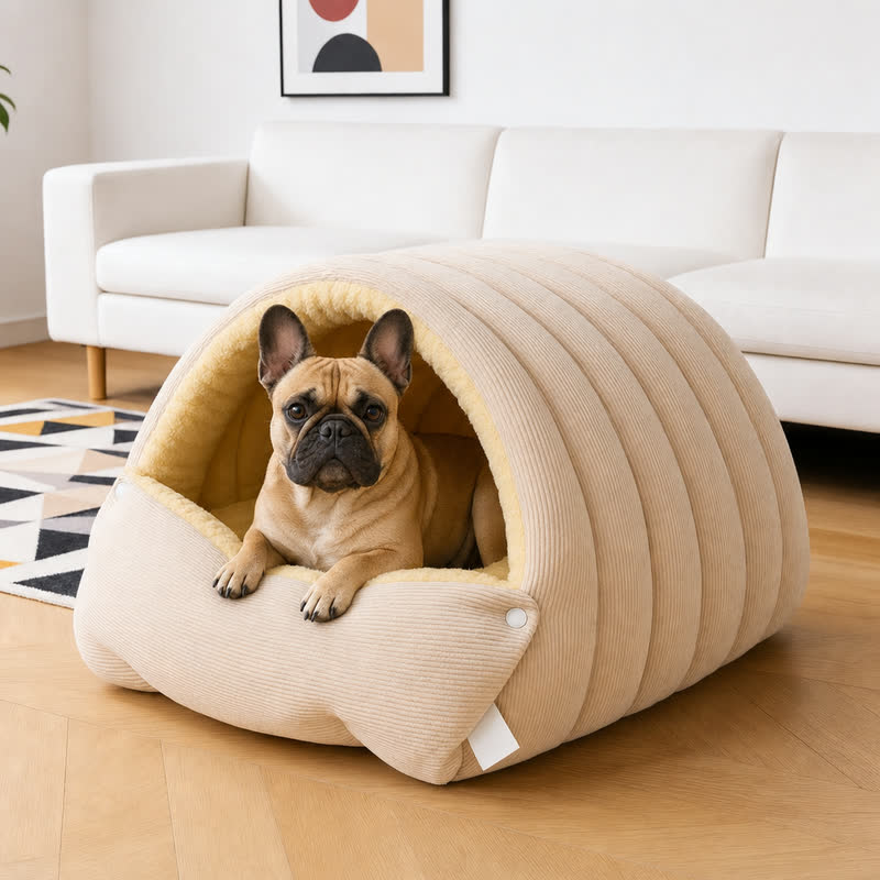 French Bulldog sitting in the beige Corduroy Frenchie Cave Bed in a living room