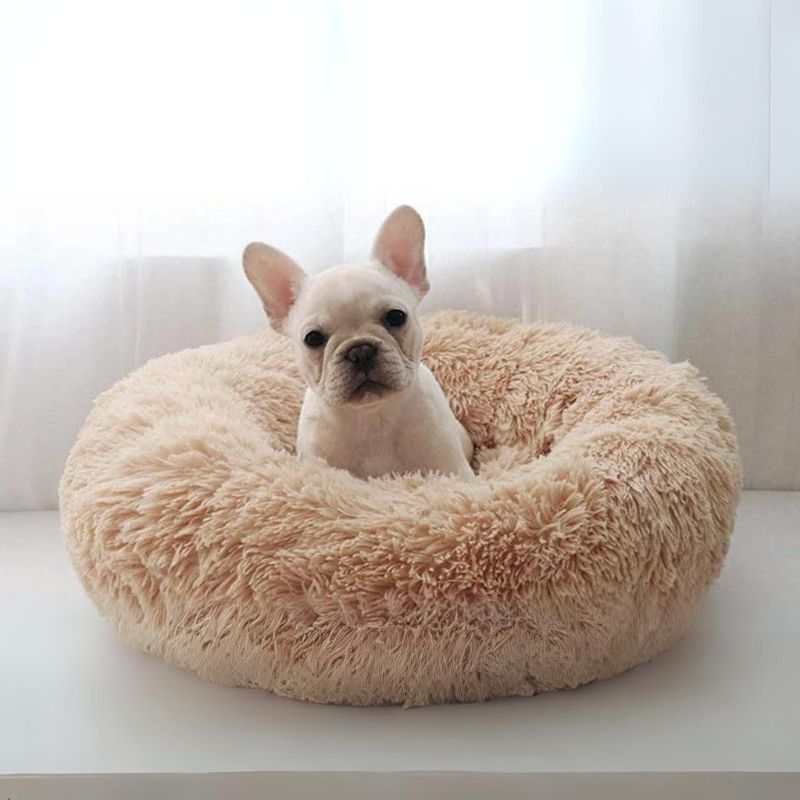 frenchie space shop cuddly donut frenchie bed