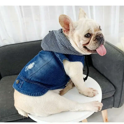 frenchie space shop denim french bulldog vest