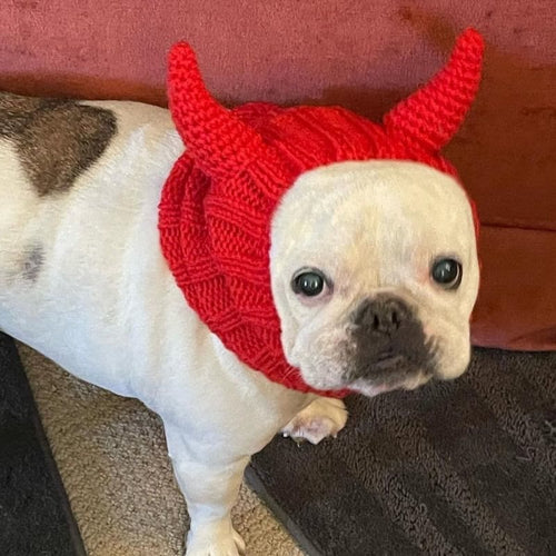 devil french bulldog snood
