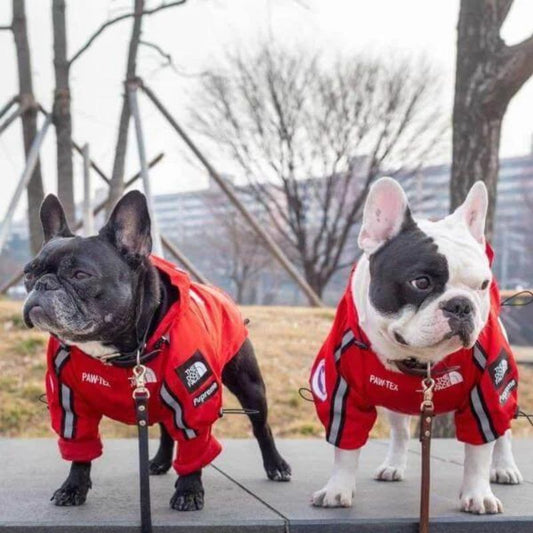 frenchie space shop dogface french bulldog raincoat