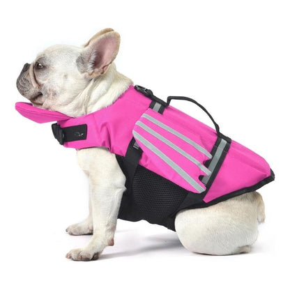 dragon french bulldog life jacket