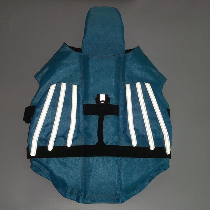 dragon french bulldog life jacket