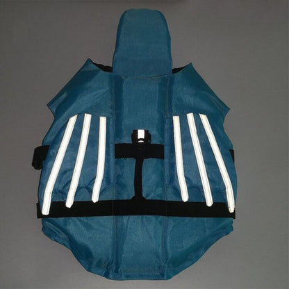dragon french bulldog life jacket