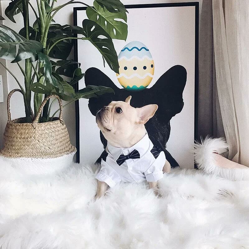 frenchie space shop elegantsuit french bulldog shirt