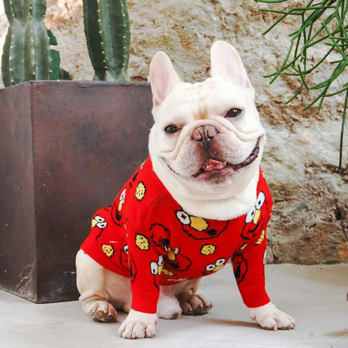 frenchie space shop elmo french bulldog sweater
