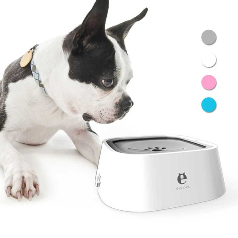 floating frenchie water bowl