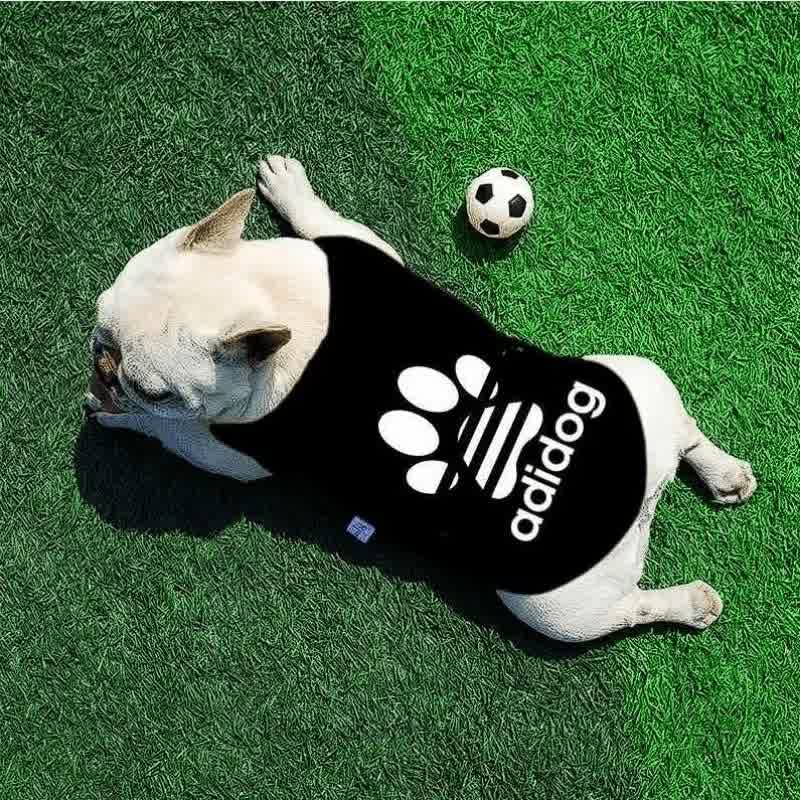 french bulldog adidog vest
