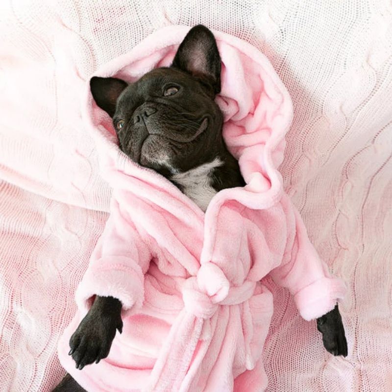 french bulldog bathrobe