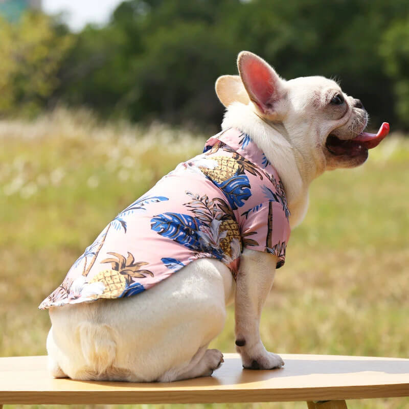 french bulldog beach shirt