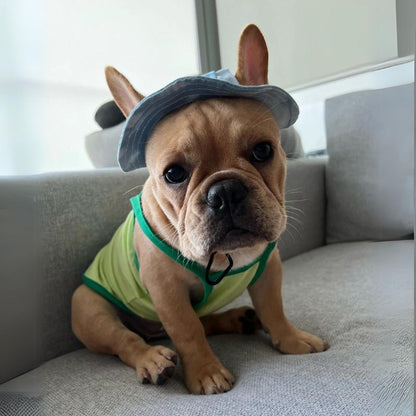 frenchie space shop french bulldog bucket hat