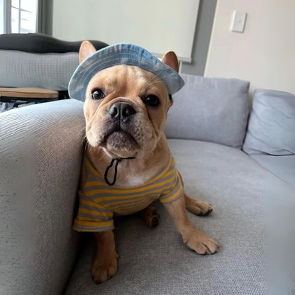 frenchie space shop french bulldog bucket hat