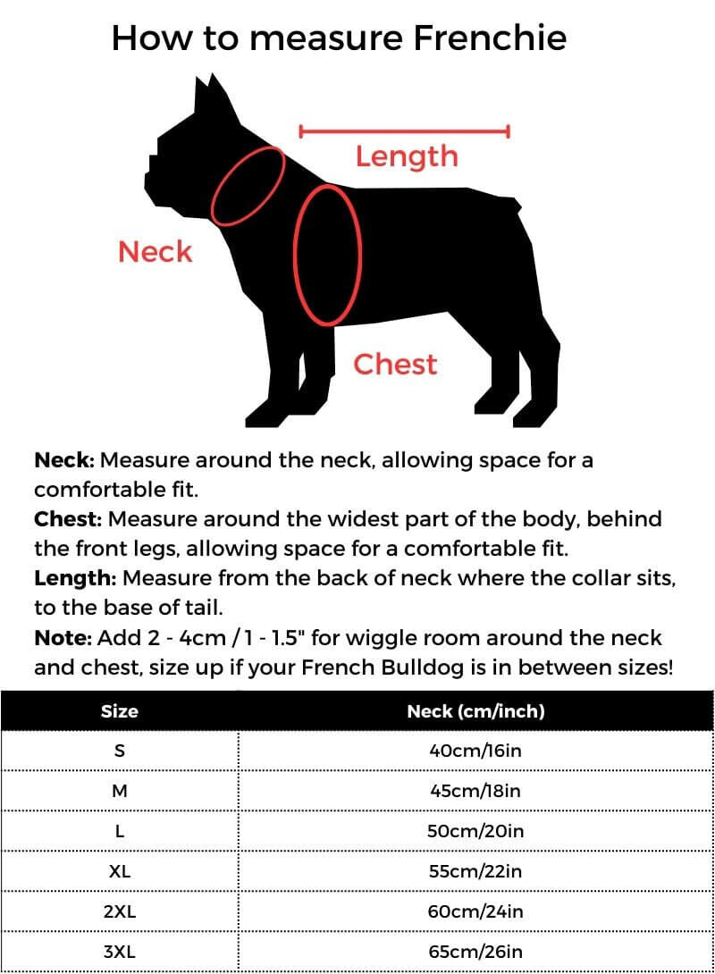 French Bulldog Chain Collar size guide