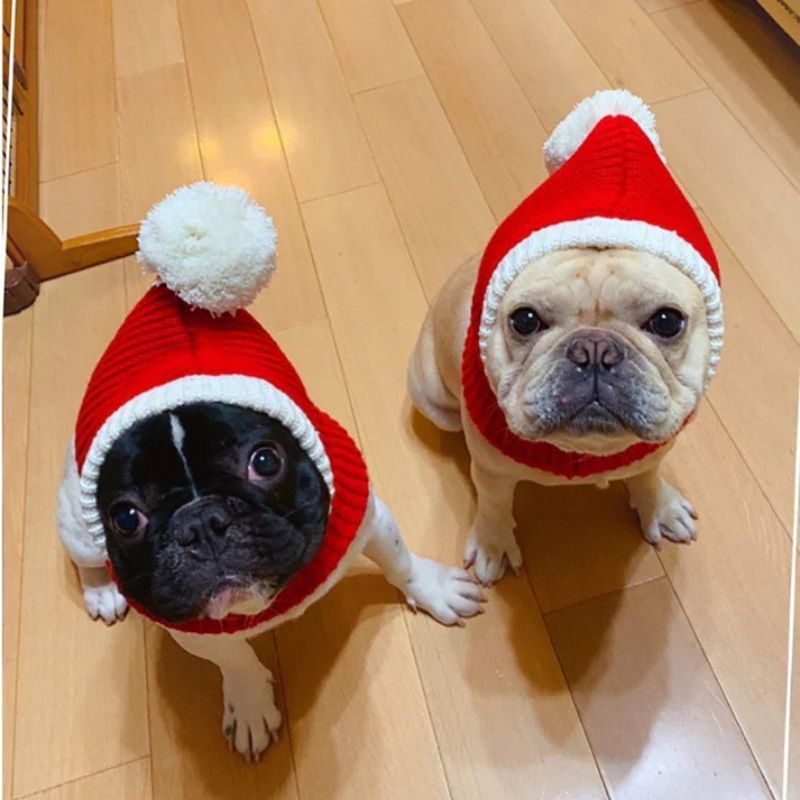 french bulldog christmas snood